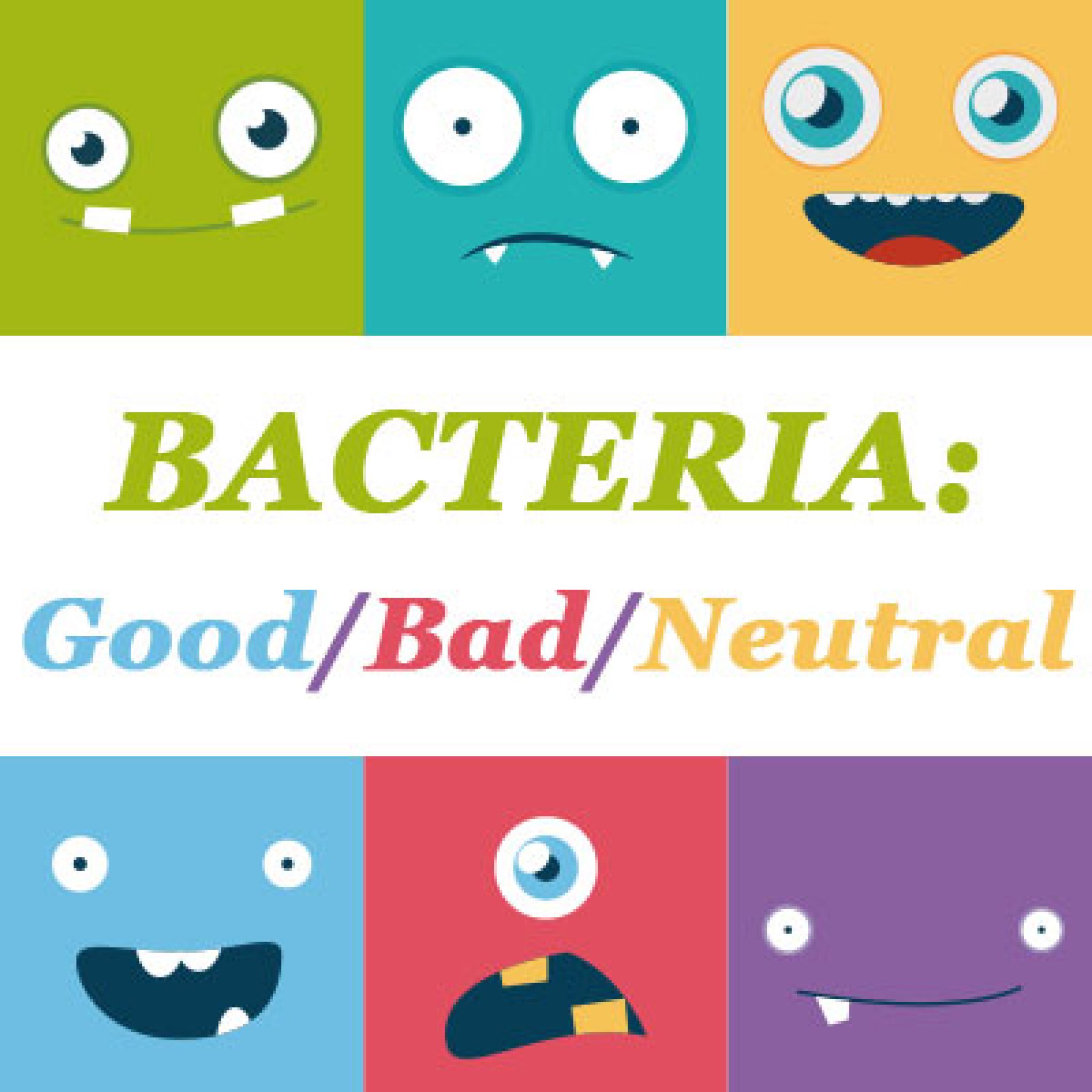 What Food Gives You Good Bacteria